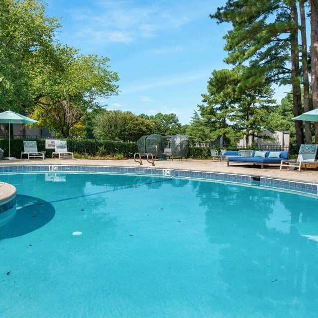 Andover at Crabtree Apartments - pool surrounded by trees and lounge seating