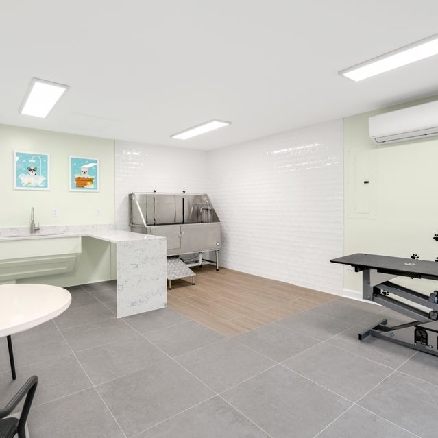 Andover at Crabtree - pet spa with adjustable pet table and large pet bath